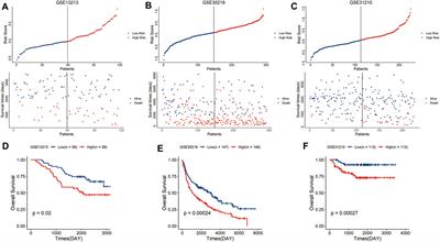 A Distinct Glucose Metabolism Signature of Lung Adenocarcinoma With Prognostic Value